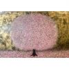 Cherry Blossom Supernova - SOLD