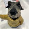 Wire hair dachshund , George - Sold