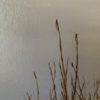 Calm on the Water - Image 2