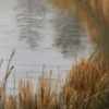 Calm on the Water - Image 3