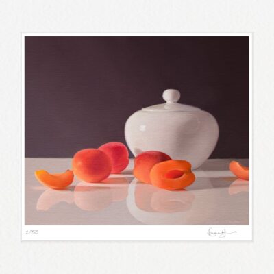 Reflecting Apricots (limited edition print)
